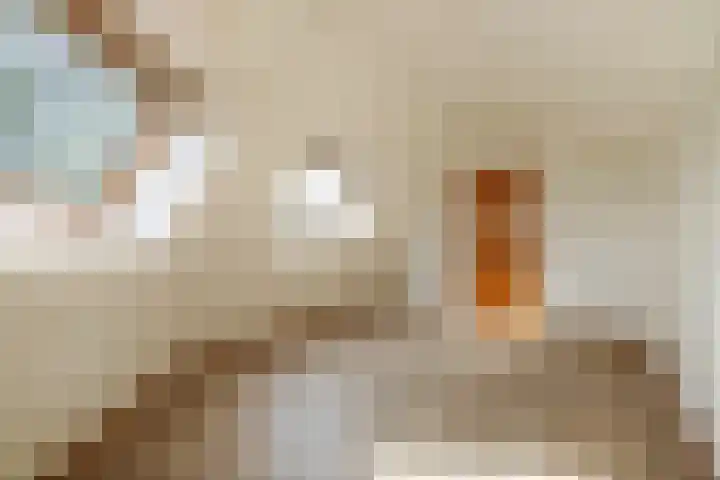 Laanhorn 2 Amstelveen thumbnail 39