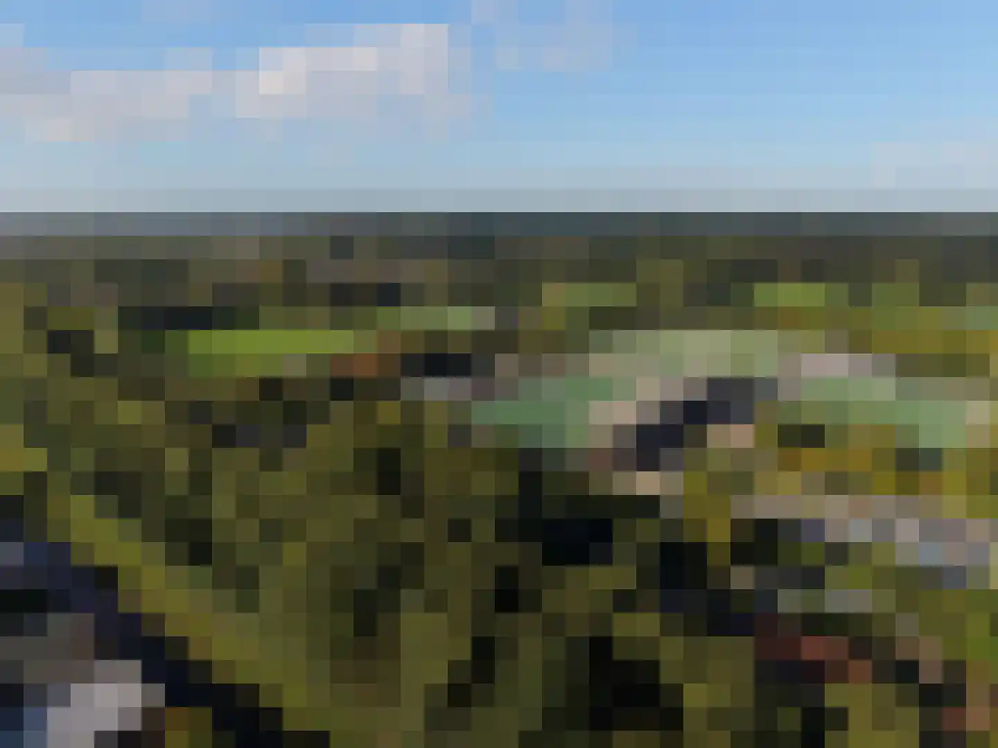 Laanhorn 2 Amstelveen thumbnail 40