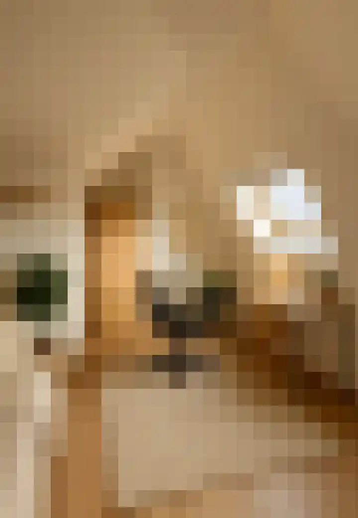 Laanhorn 2 Amstelveen thumbnail 44