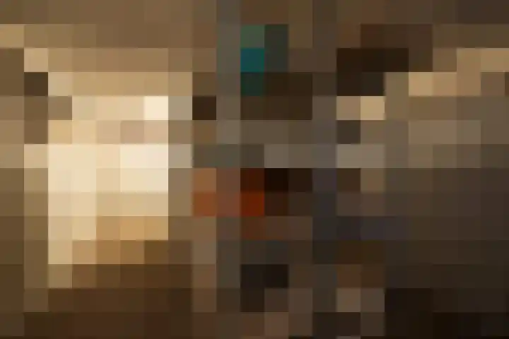Laanhorn 2 Amstelveen thumbnail 49