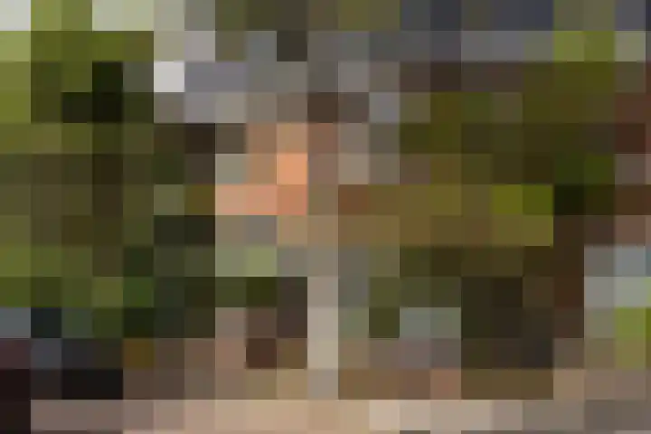 Laanhorn 2 Amstelveen thumbnail 51