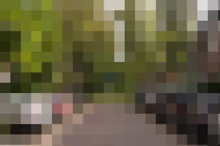 Laanhorn 2 Amstelveen thumbnail 52