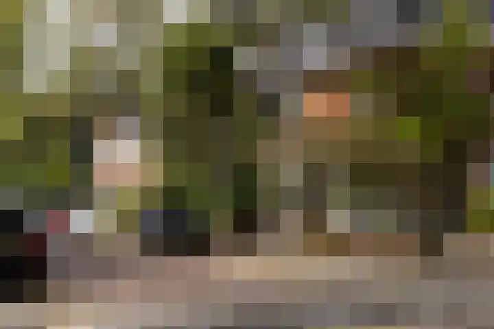 Laanhorn 2 Amstelveen thumbnail 53