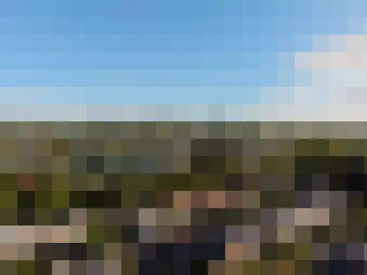 Laanhorn 2 Amstelveen thumbnail 60