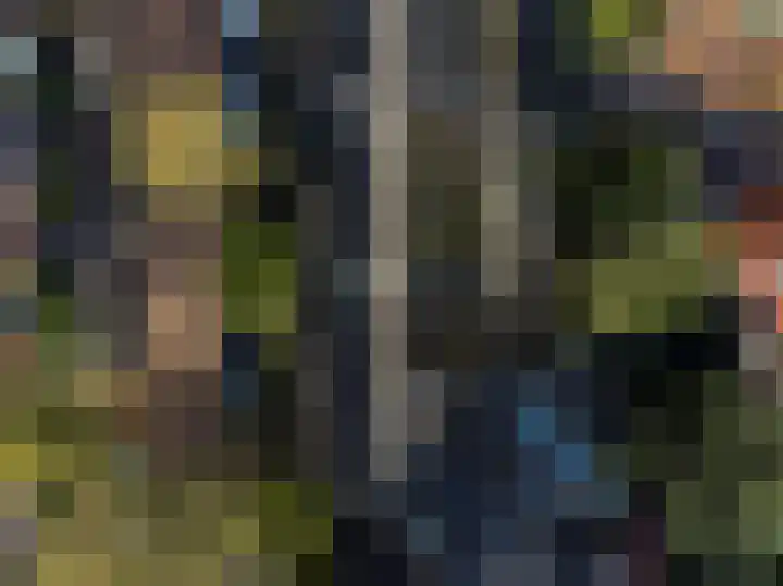 Laanhorn 2 Amstelveen thumbnail 61