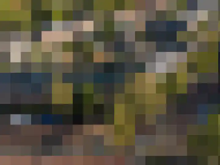 Laanhorn 2 Amstelveen thumbnail 68