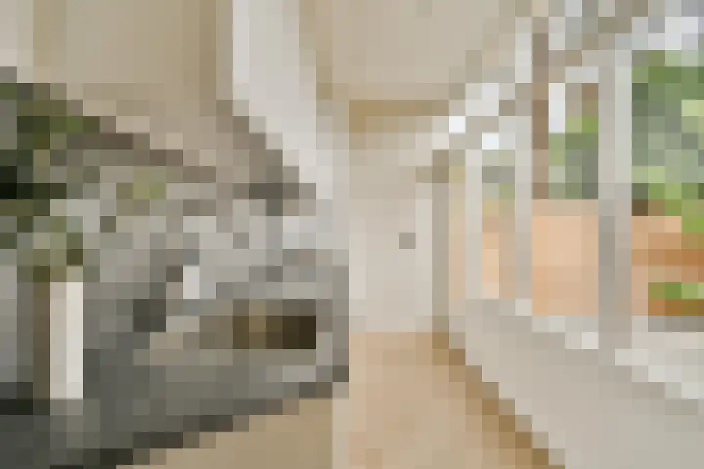 Laanhorn 2 Amstelveen thumbnail 7
