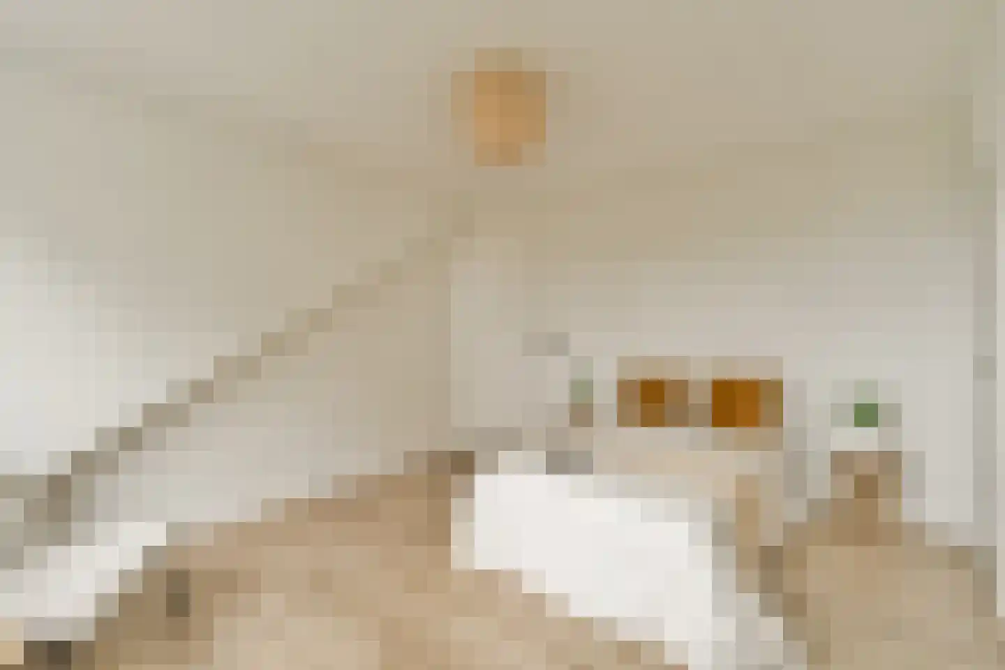 Laanhorn 2 BV Amstelveen thumbnail 13