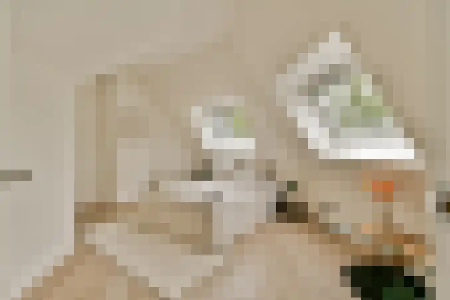 Laanhorn 2 BV Amstelveen thumbnail 20