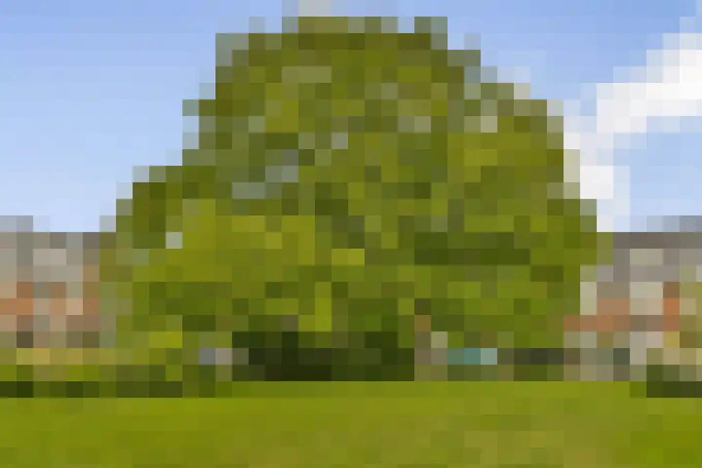 Laanhorn 2 BV Amstelveen thumbnail 24
