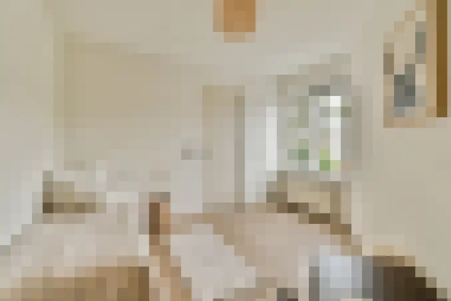 Laanhorn 2 BV Amstelveen thumbnail 9
