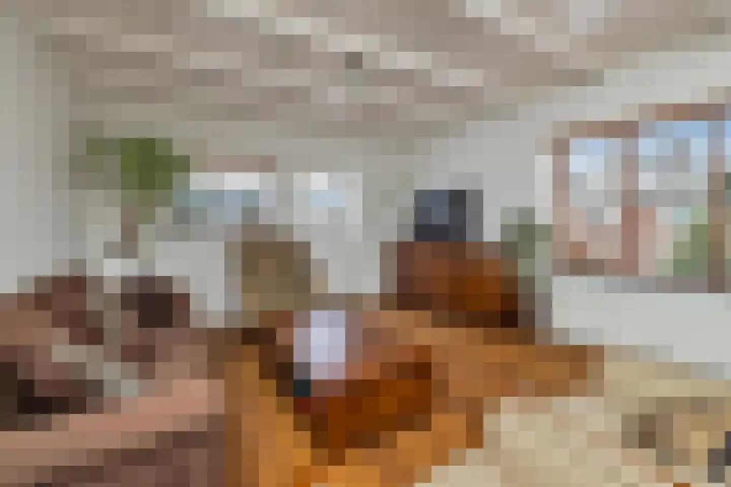 Laanplein 8 Schagen thumbnail 23