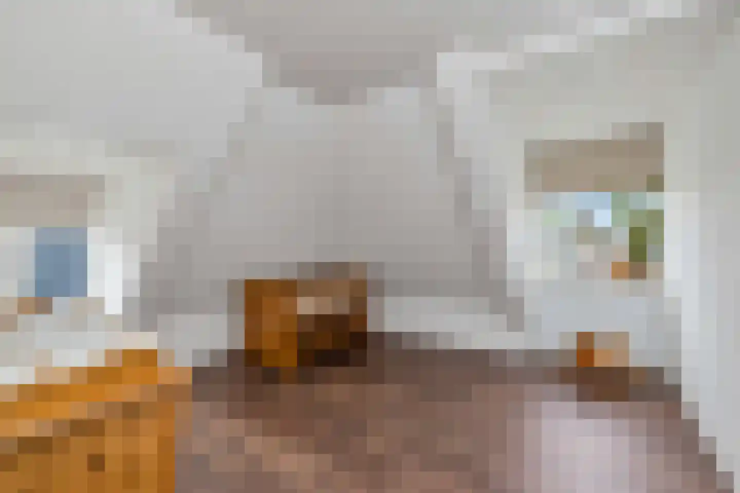 Laanplein 8 Schagen thumbnail 38