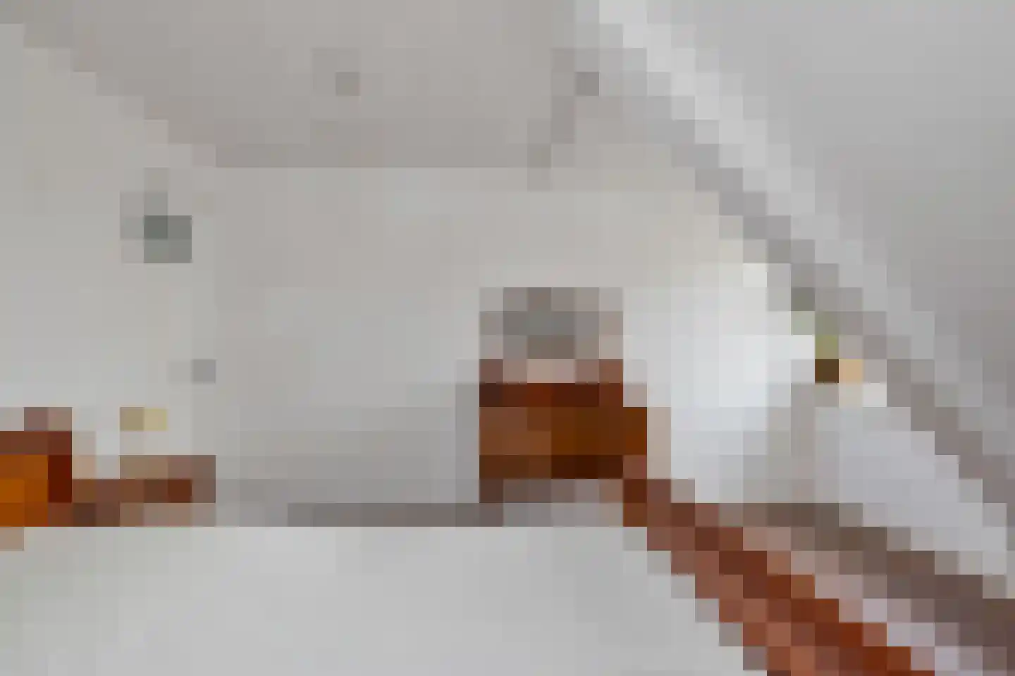 Laanplein 8 Schagen thumbnail 43