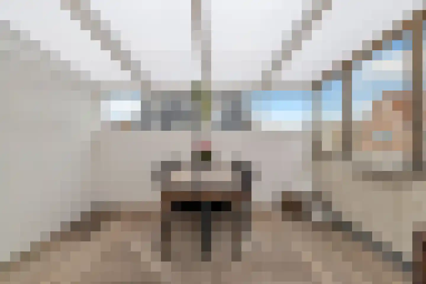 Laanplein 8 Schagen thumbnail 64