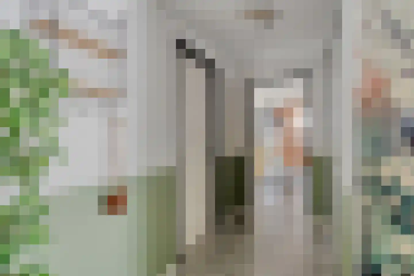 Laanstraat 2 Oosterhout thumbnail 17