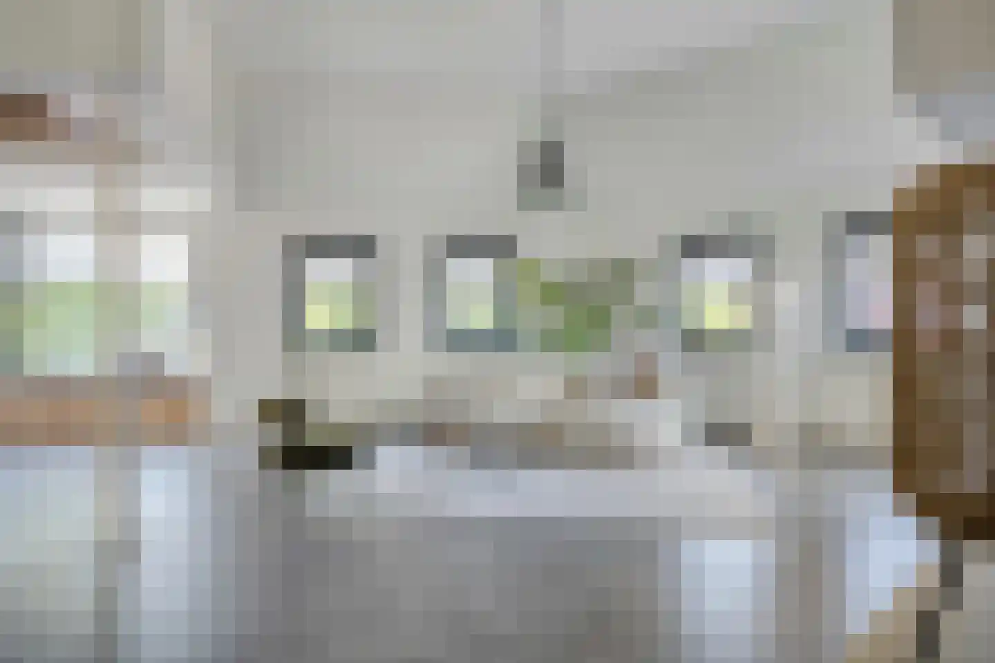 Laanstraat 2 Oosterhout thumbnail 18