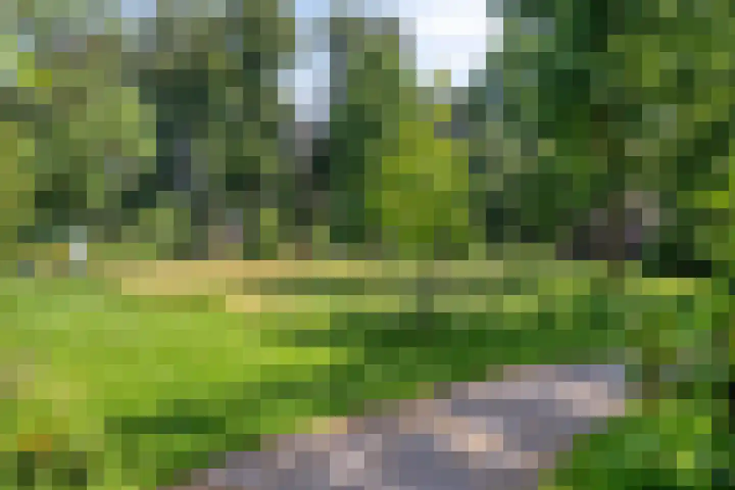 Laanstraat 2 Oosterhout thumbnail 41