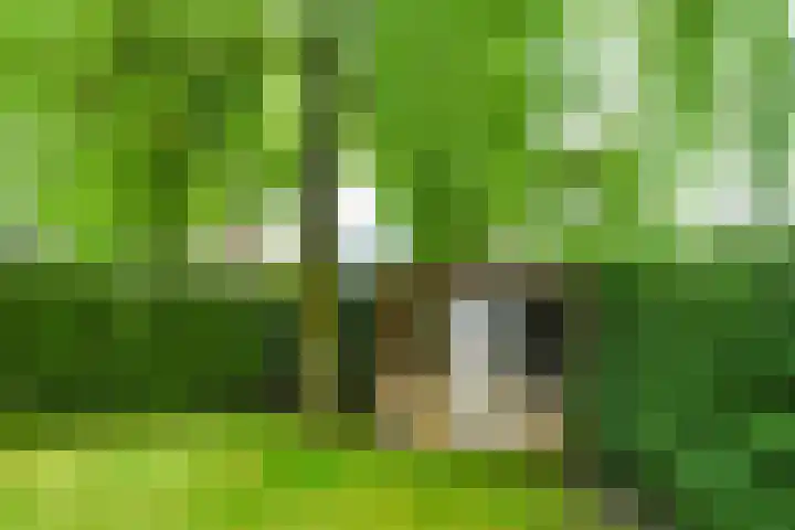 Laanstraat 29 Soest thumbnail 29