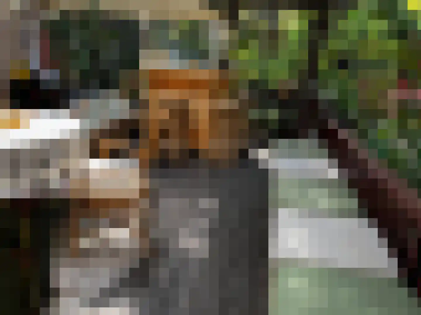 Laanstraat 3 Baarn thumbnail 11