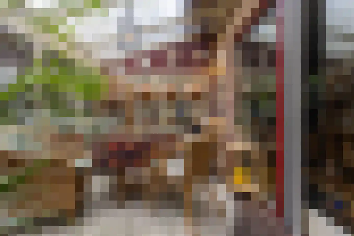 Laanstraat 3 Baarn thumbnail 18