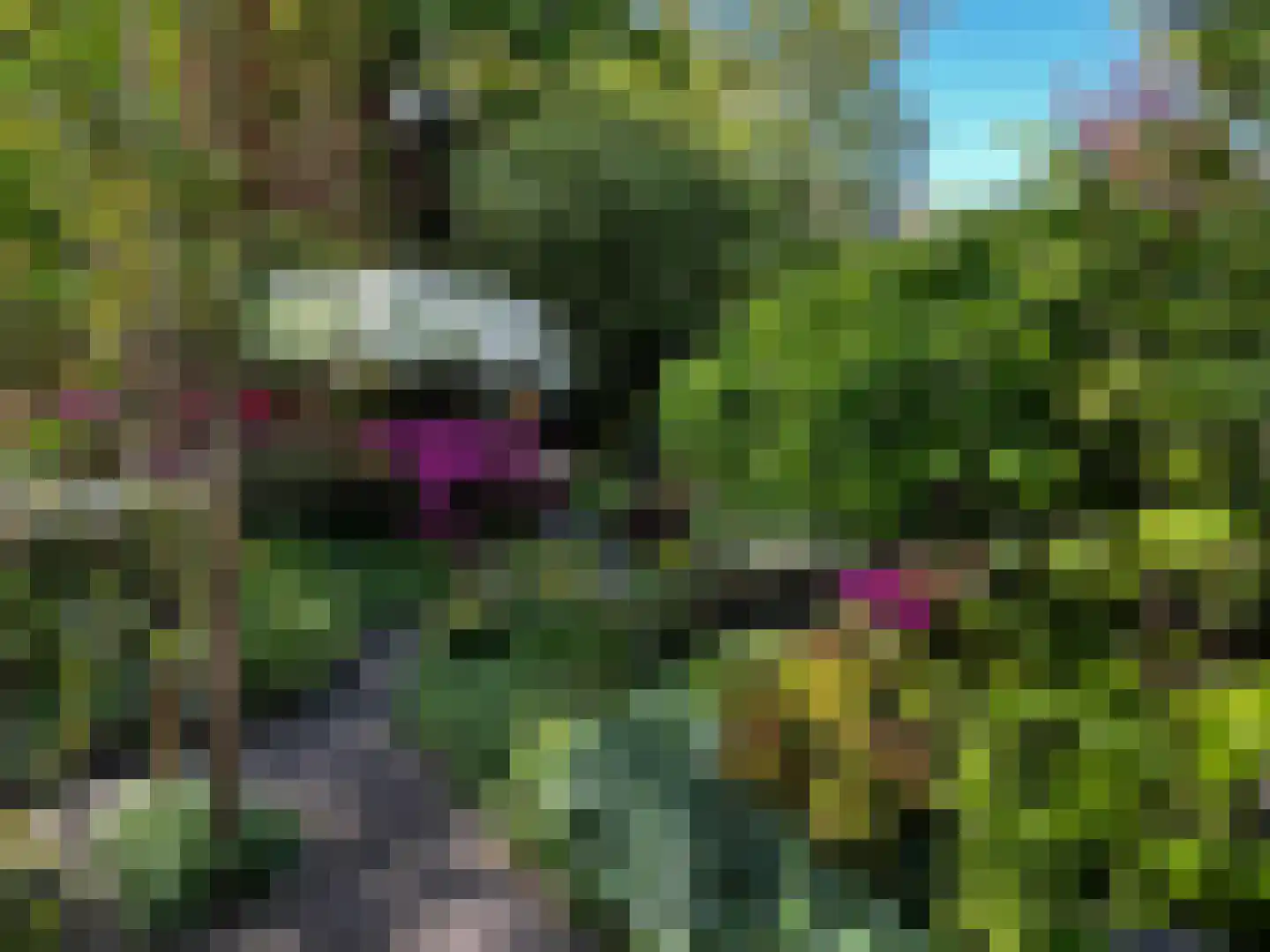 Laanstraat 3 Baarn thumbnail 4