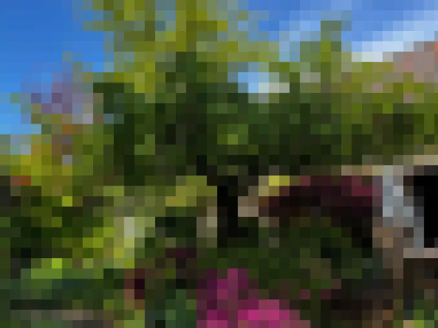 Laanstraat 3 Baarn thumbnail 42