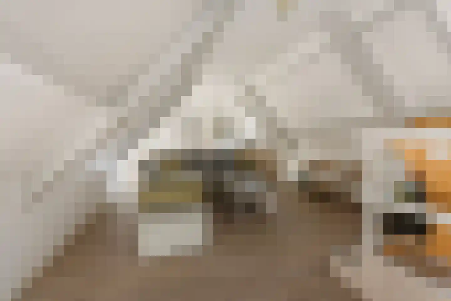 Laanstraat 3 Baarn thumbnail 48