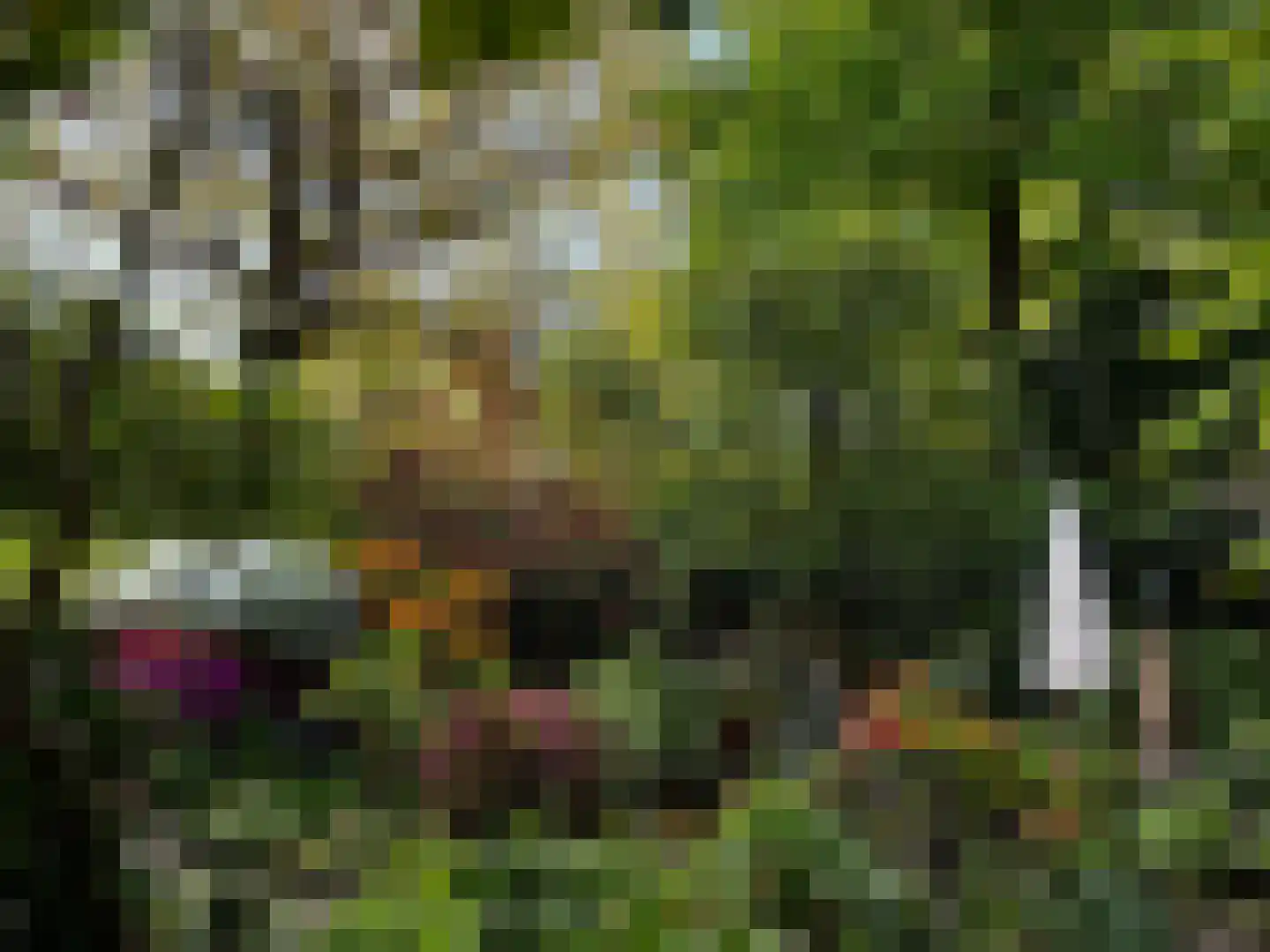 Laanstraat 3 Baarn thumbnail 50