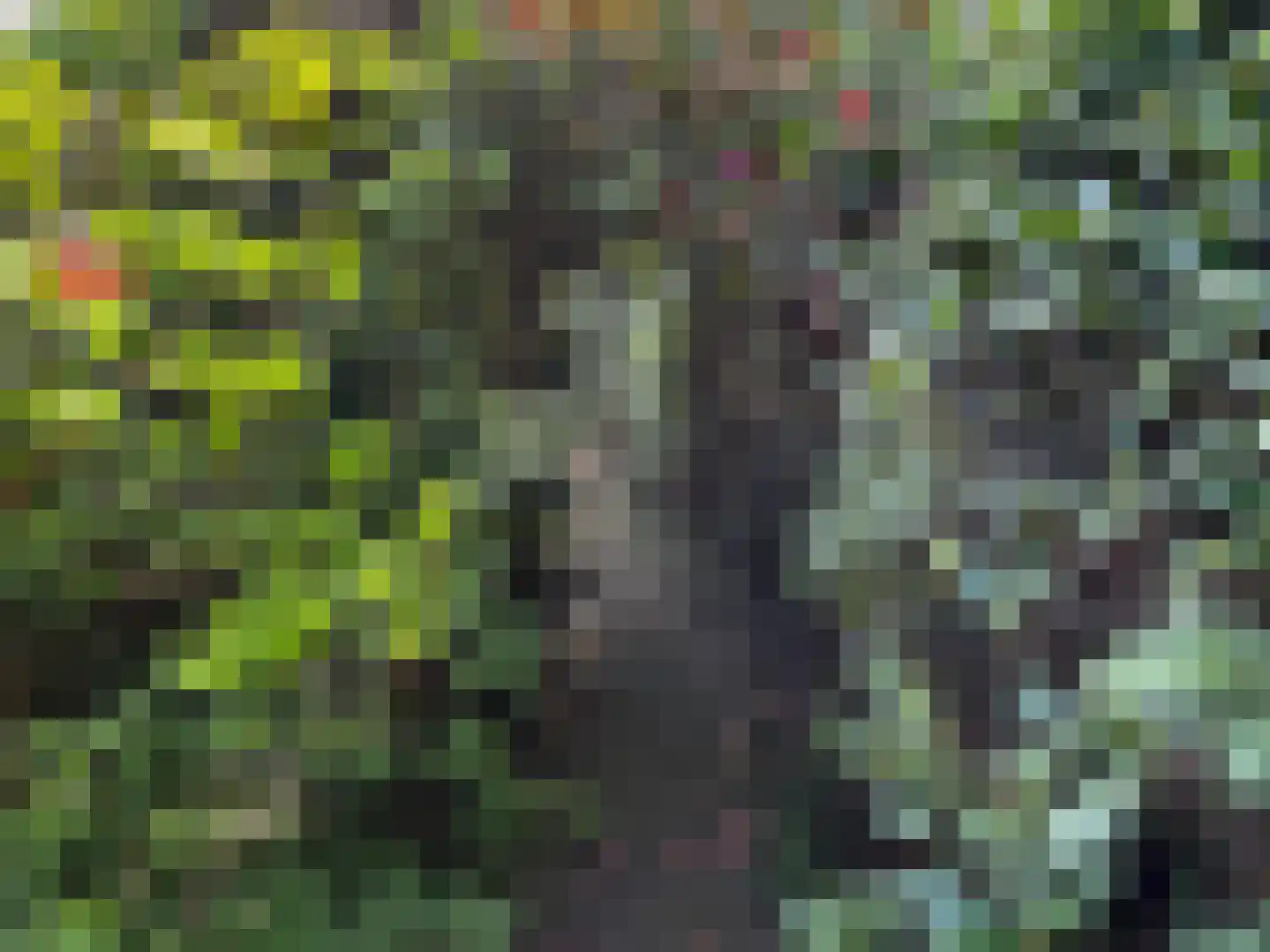 Laanstraat 3 Baarn thumbnail 52