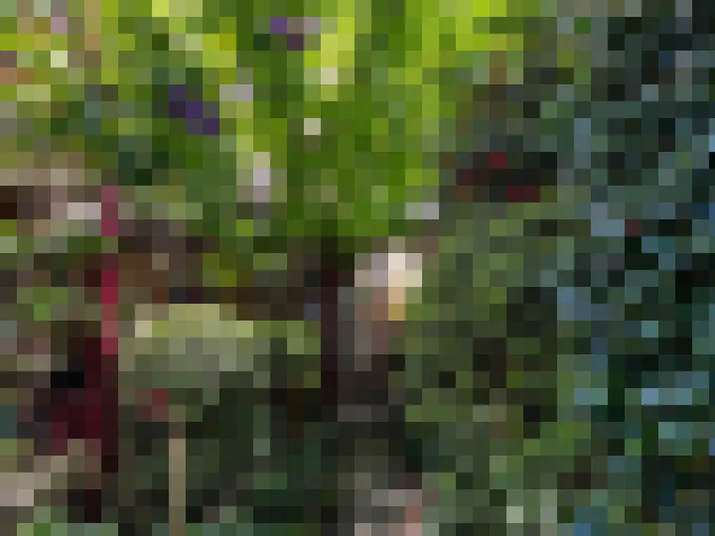 Laanstraat 3 Baarn thumbnail 53