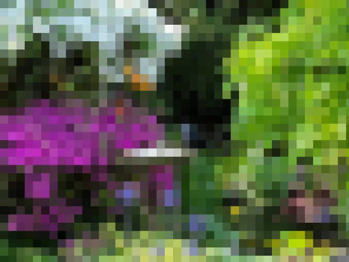 Laanstraat 3 Baarn thumbnail 6