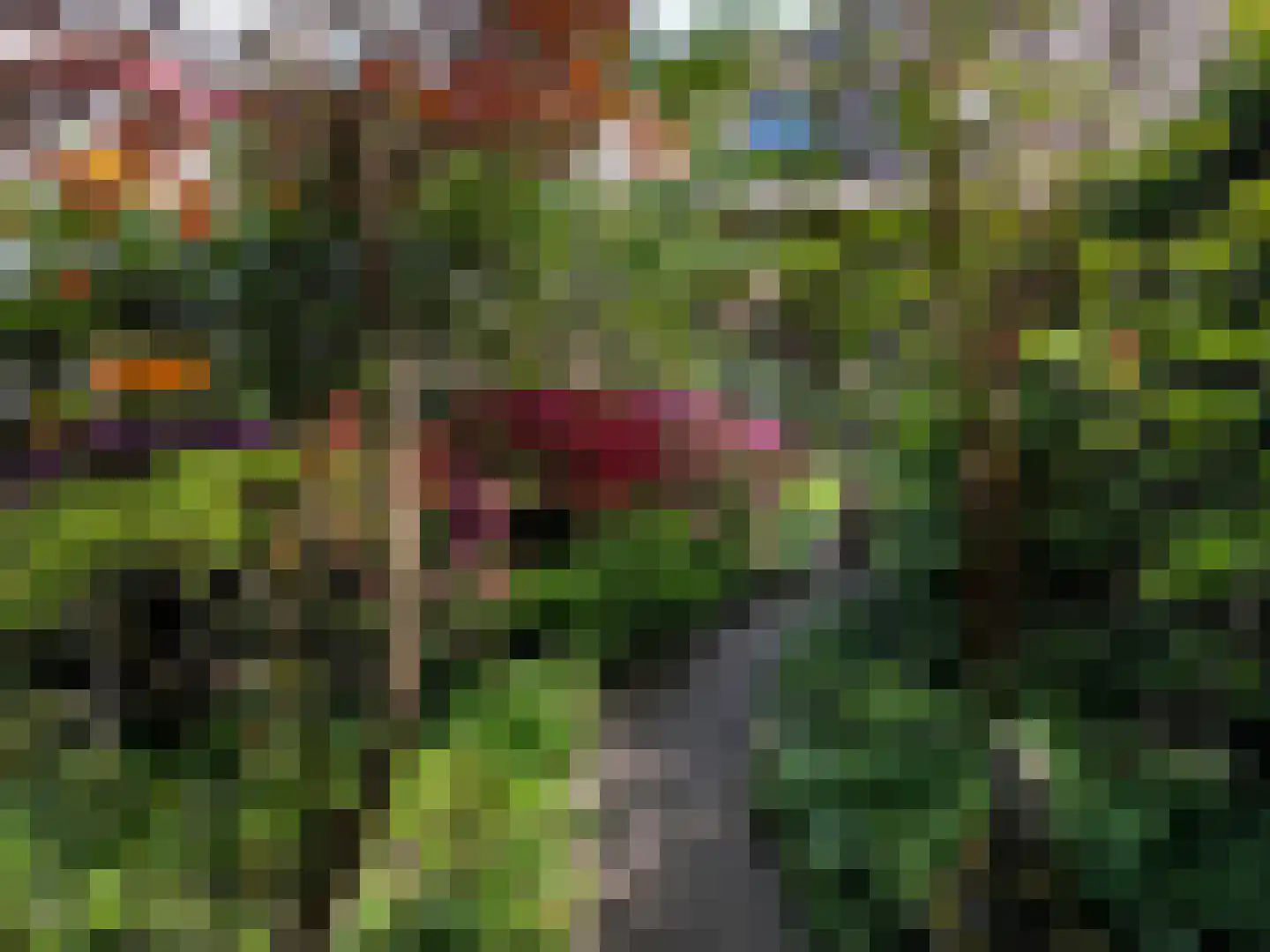 Laanstraat 3 Baarn thumbnail 7