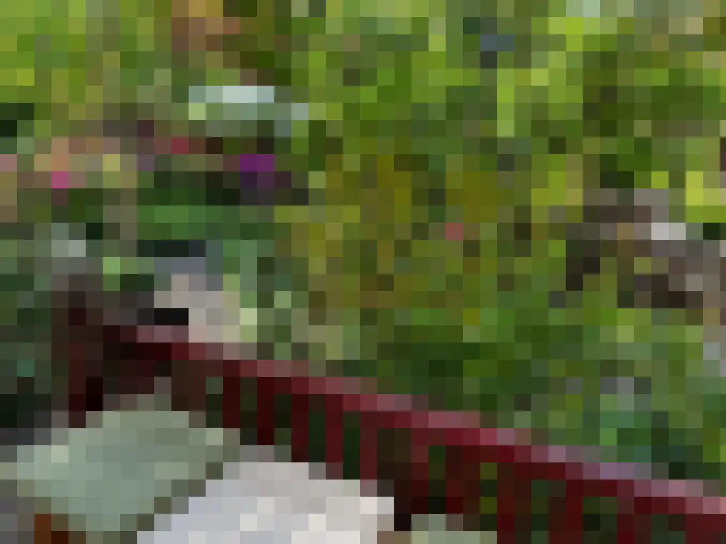 Laanstraat 3 Baarn thumbnail 8