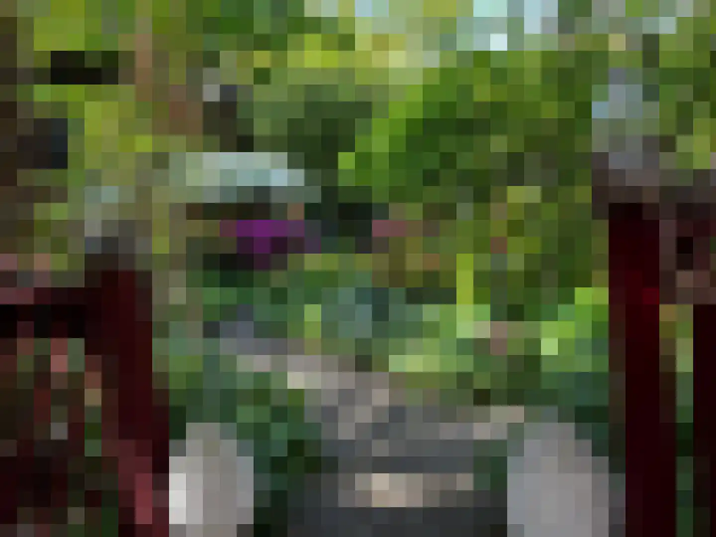 Laanstraat 3 Baarn thumbnail 9