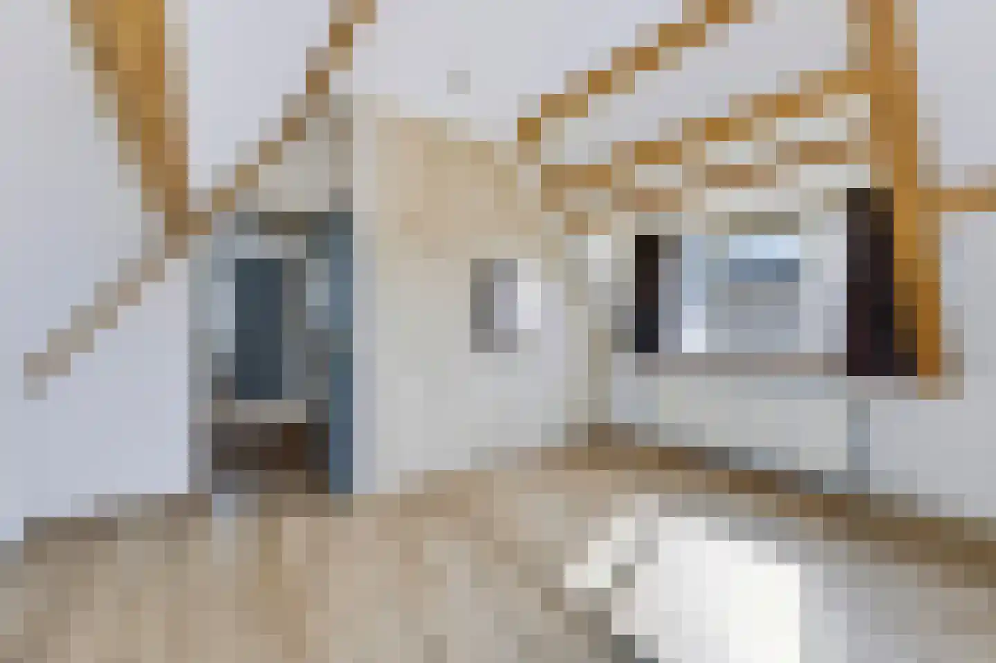 Laanstraat 5 Soest thumbnail 29