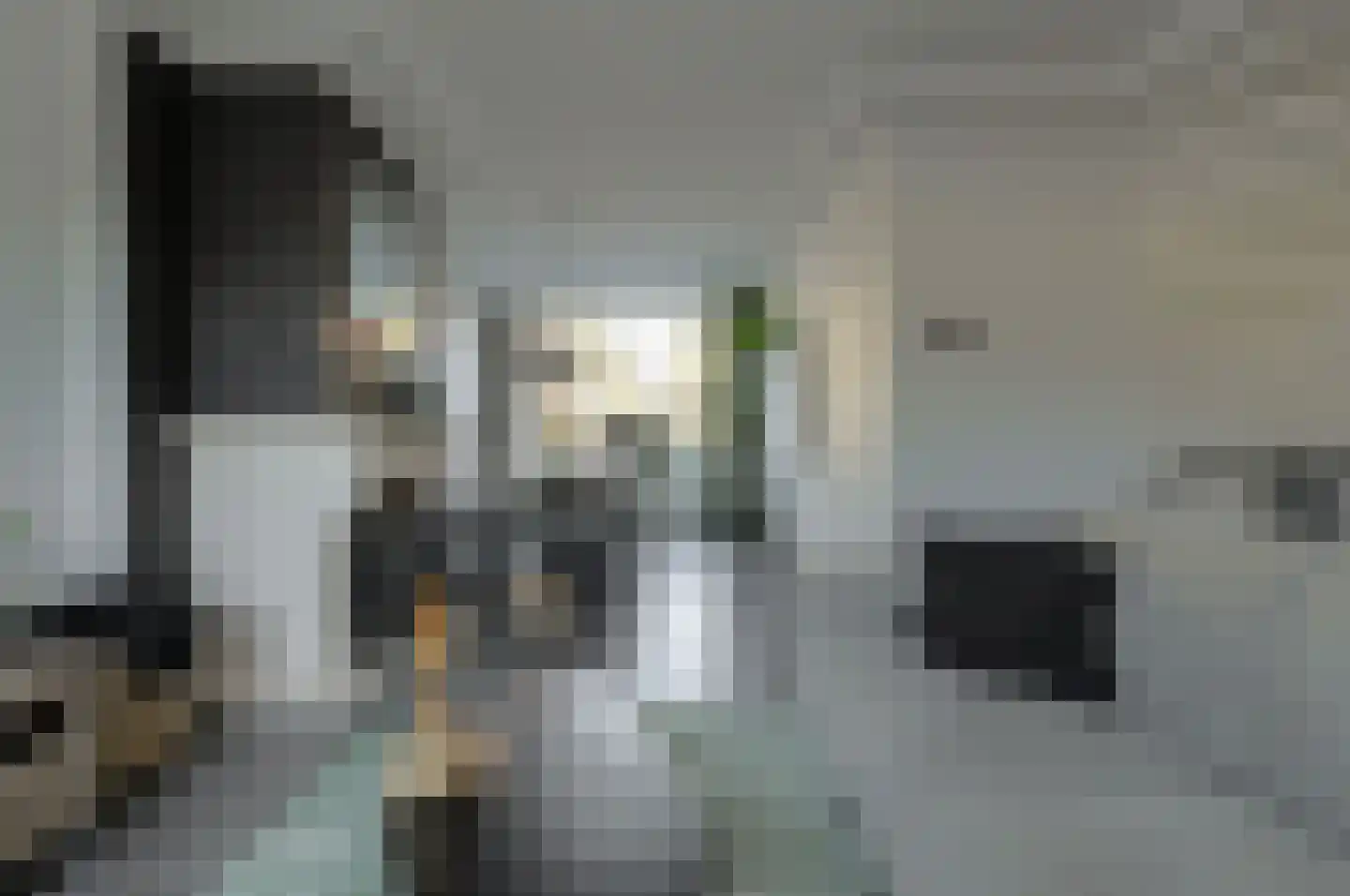 Laanstraat 8 Oosterhout thumbnail 10