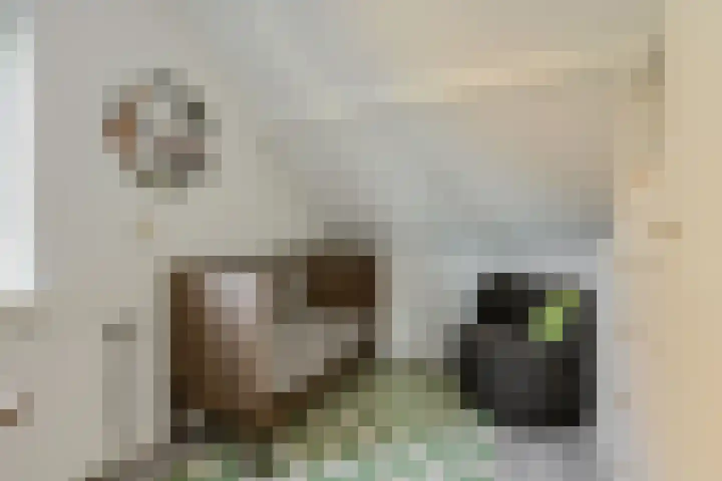 Laanstraat 8 Oosterhout thumbnail 32