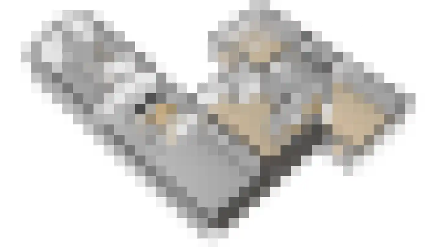 Laantje 11 Westwoud thumbnail 102