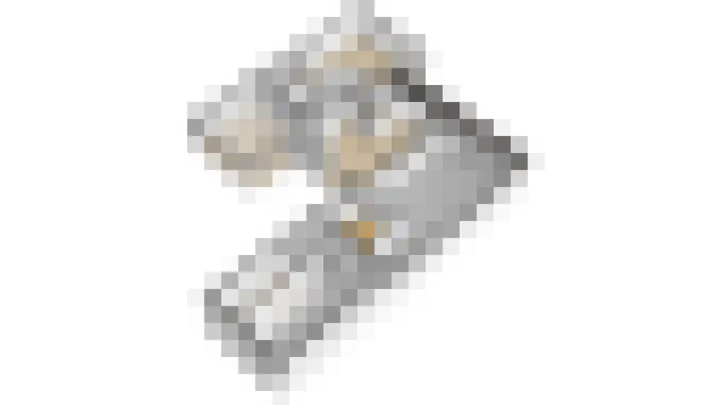 Laantje 11 Westwoud thumbnail 104