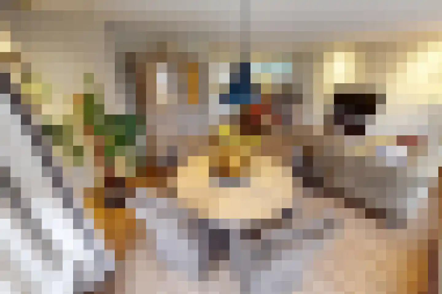 Laantje 11 Westwoud thumbnail 18