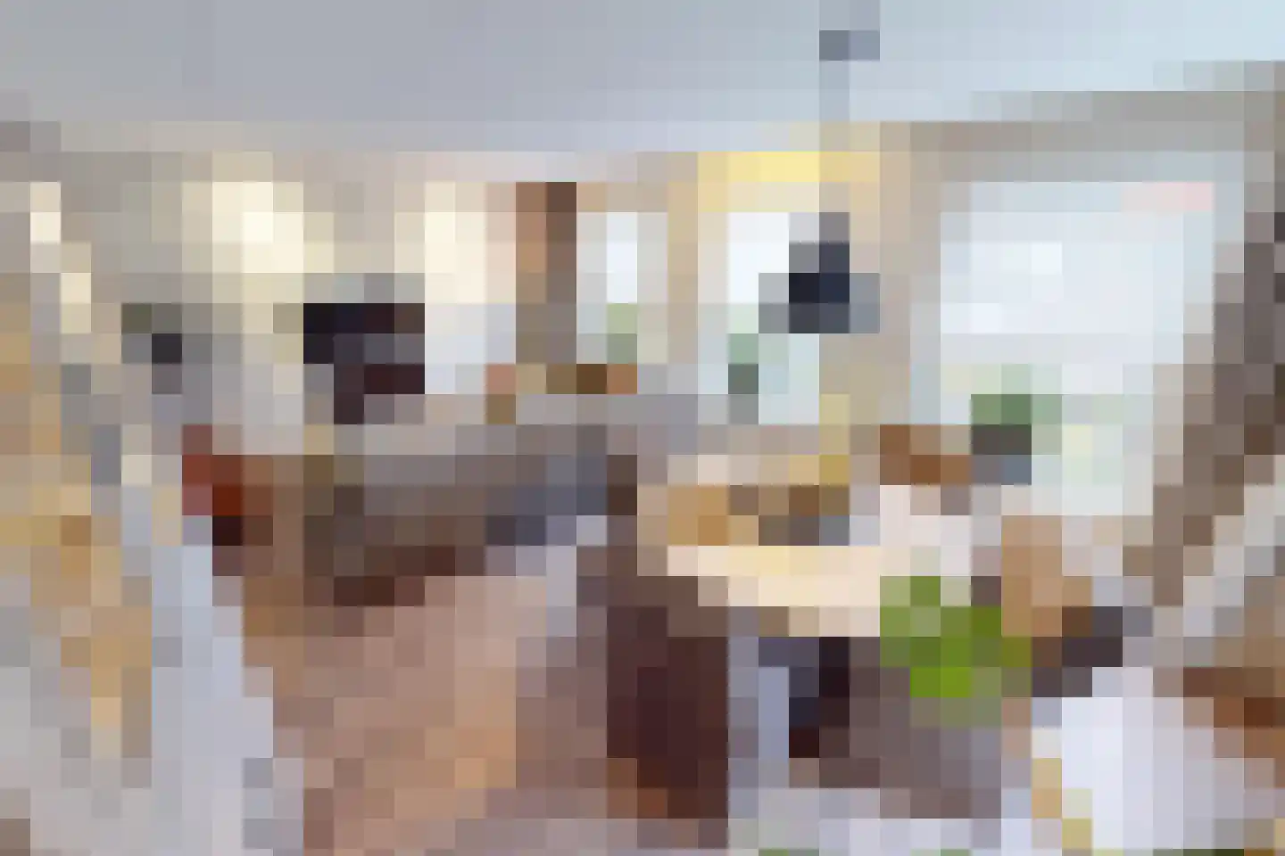 Laantje 11 Westwoud thumbnail 19