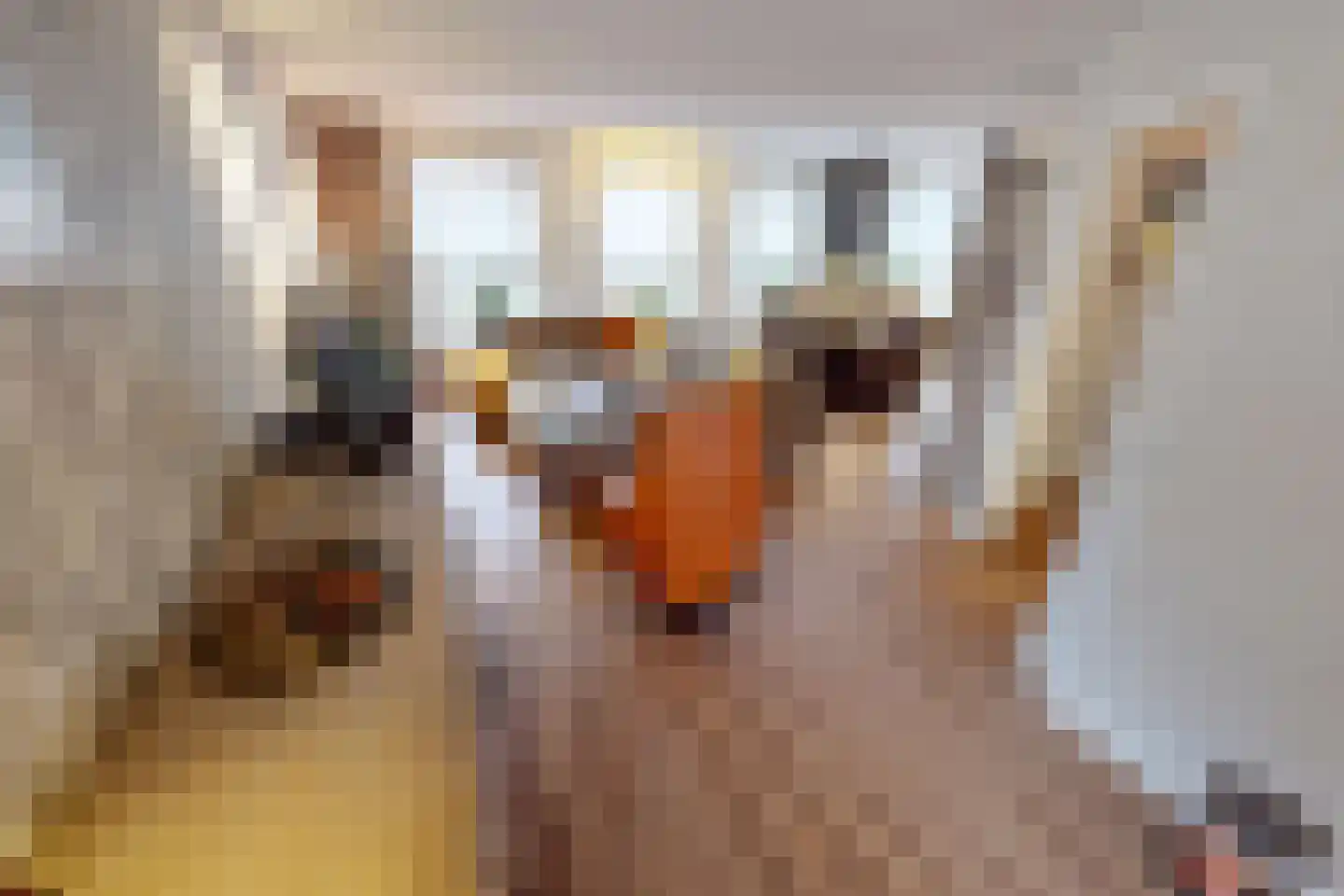Laantje 11 Westwoud thumbnail 22