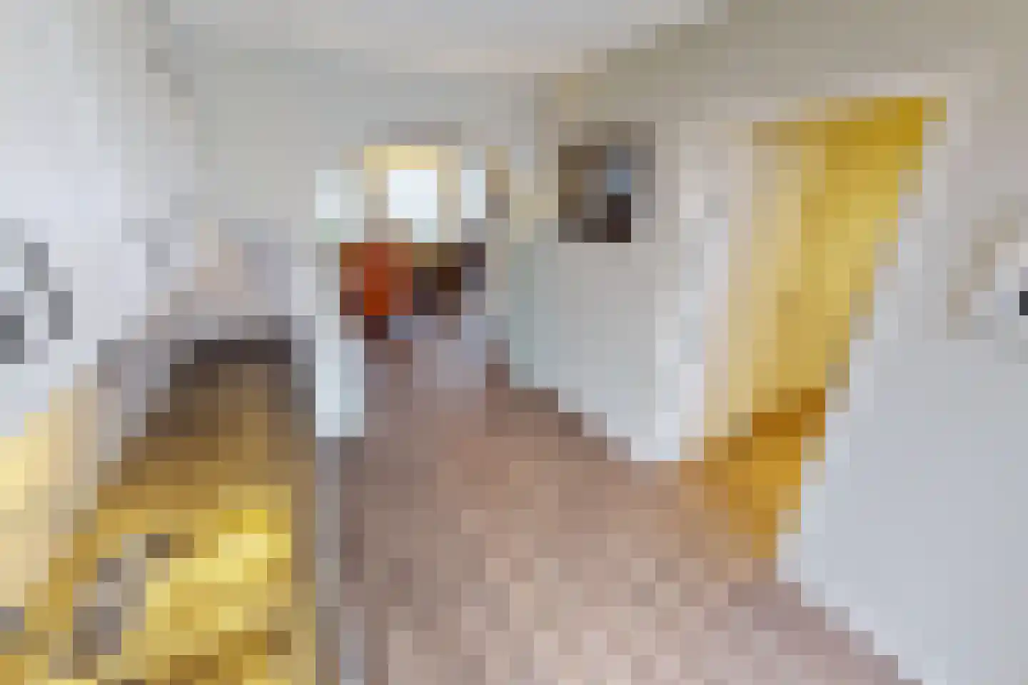 Laantje 11 Westwoud thumbnail 24