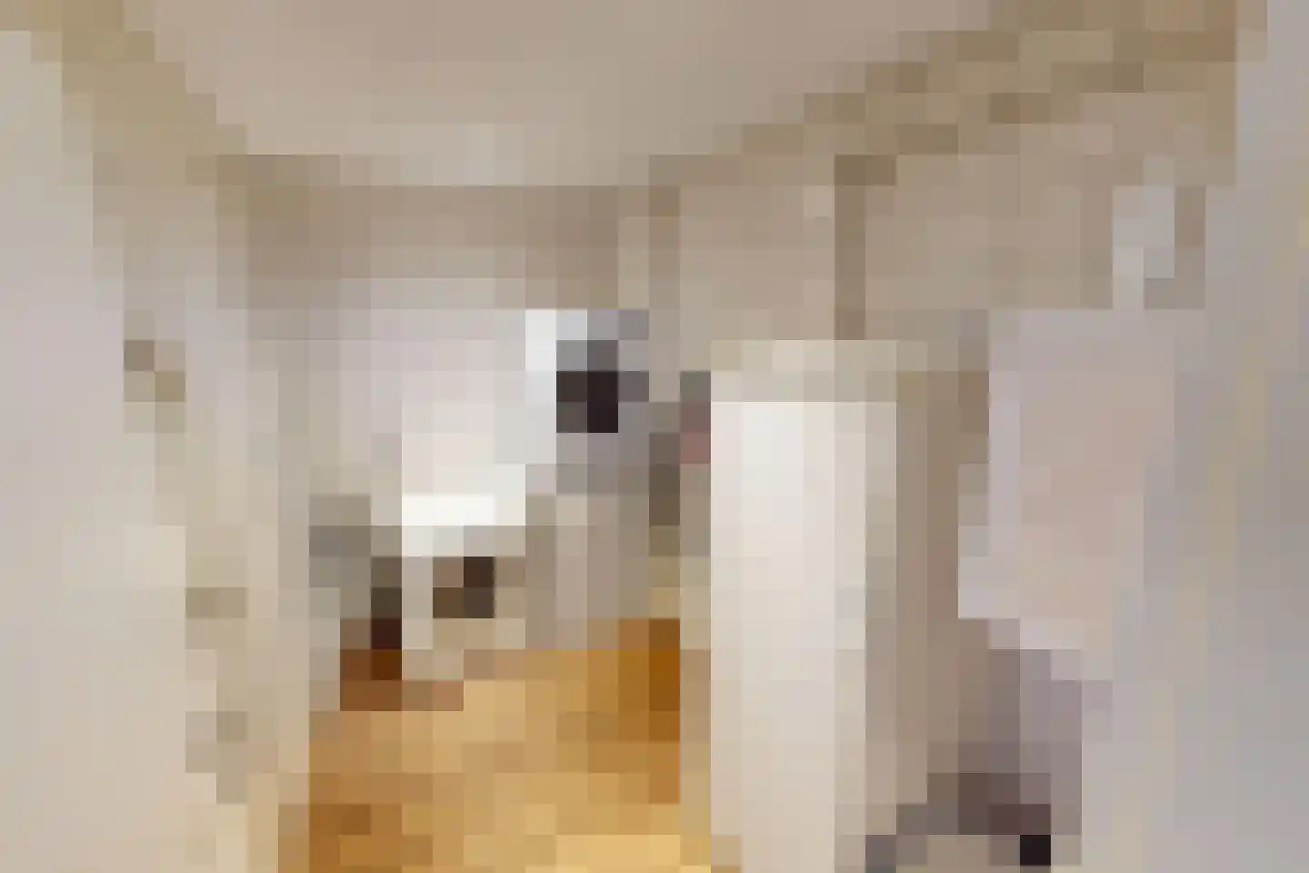 Laantje 11 Westwoud thumbnail 26