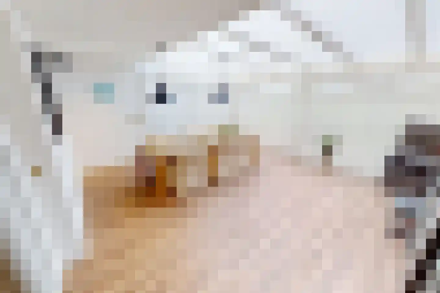 Laantje 11 Westwoud thumbnail 27