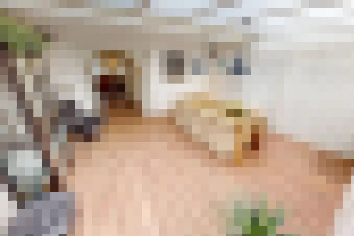 Laantje 11 Westwoud thumbnail 28