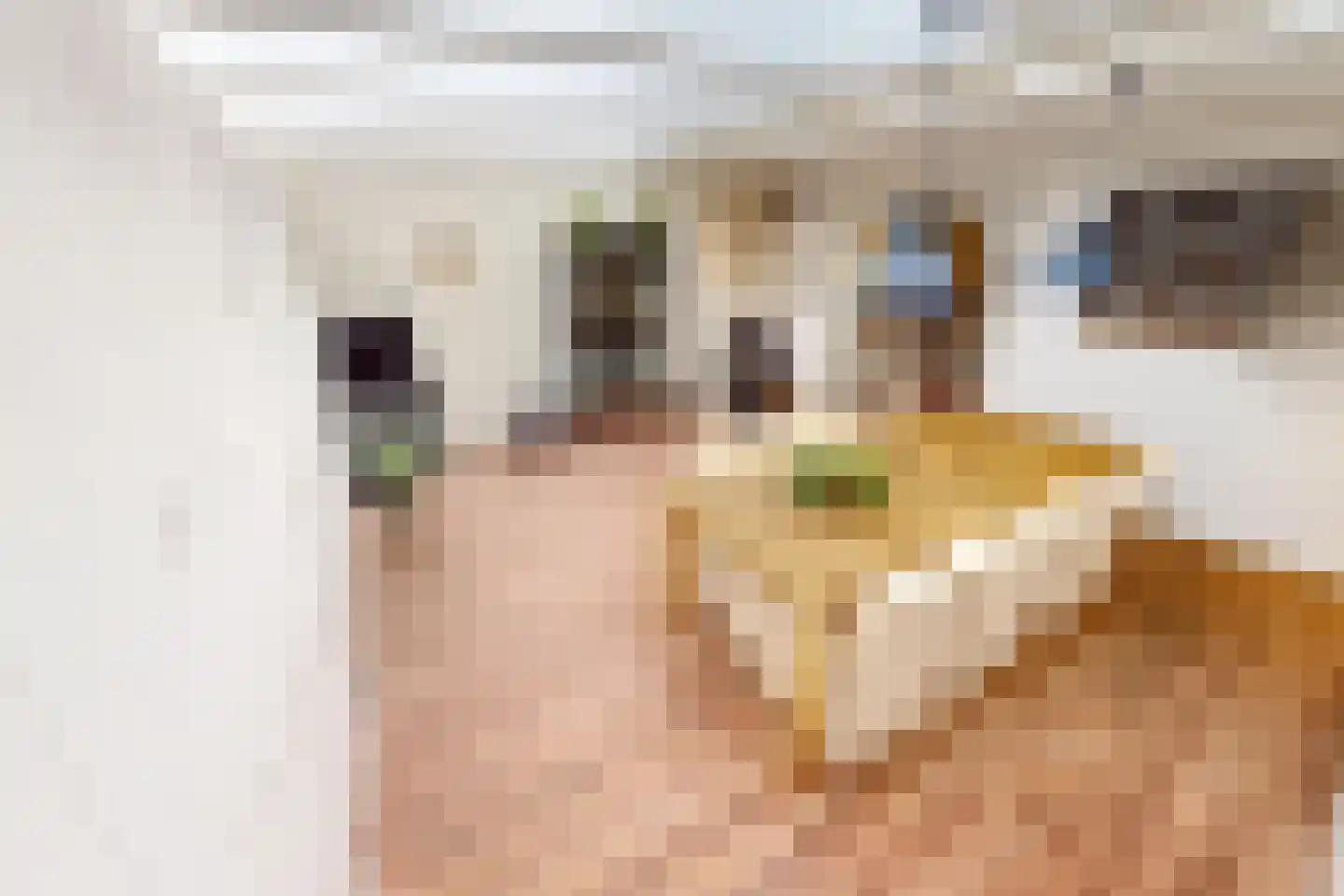 Laantje 11 Westwoud thumbnail 29