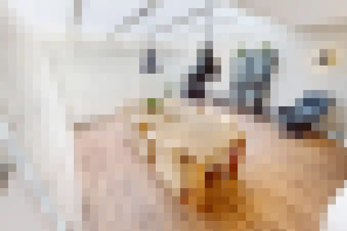 Laantje 11 Westwoud thumbnail 30