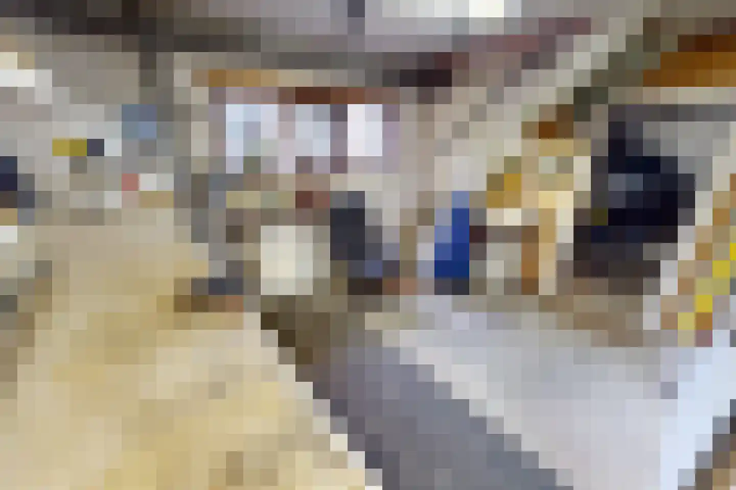 Laantje 11 Westwoud thumbnail 43